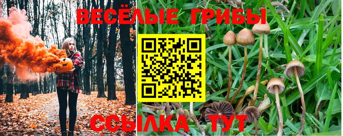 Псилоцибиновые грибы прущие грибы Омск