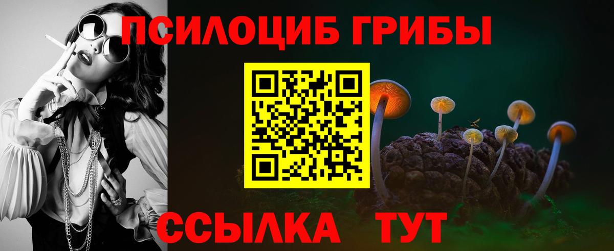 Омск  Галлюциногенные грибы ЛСД  Вход с VPN 